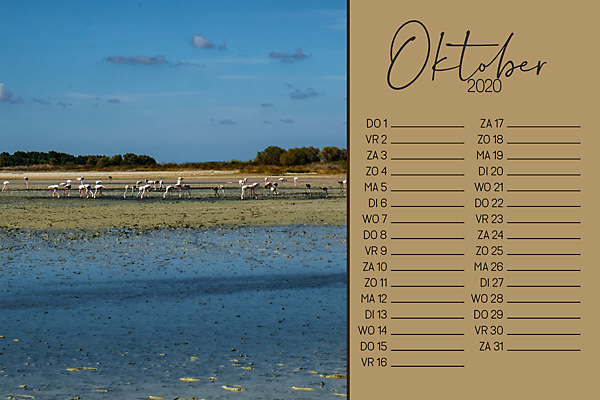 19-10_sc_photocase20_10oktober-copy