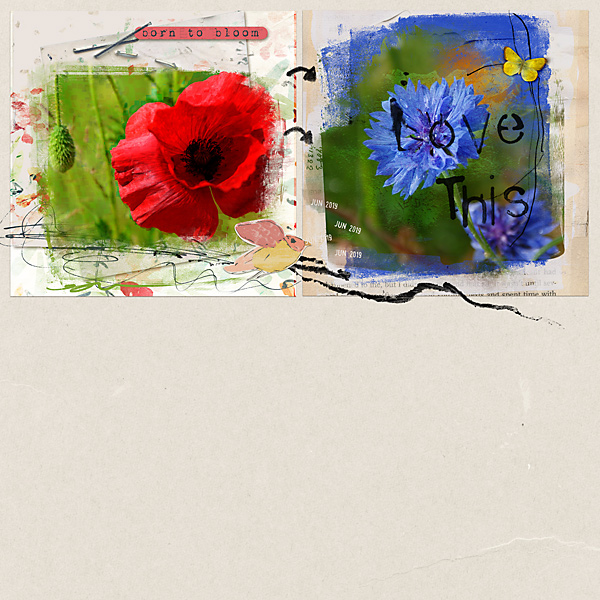 19-12_TLP_monthlymuse1-2-copy