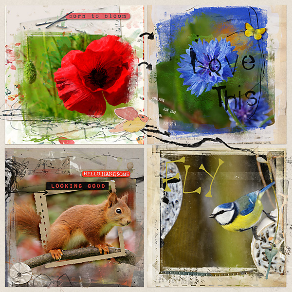 19-12_TLP_monthlymuse3-4-copy