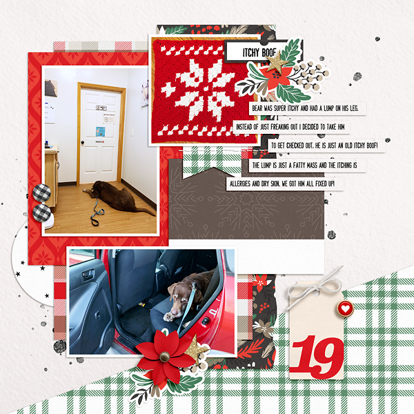 19-DYD2019