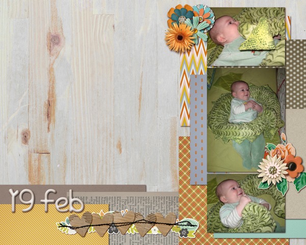 19 feb