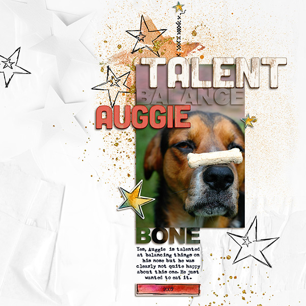19-Talent Balance Auggie - MOC #19