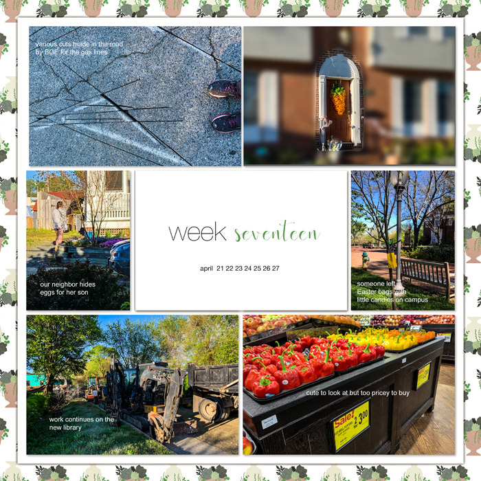 19-wk-17_web