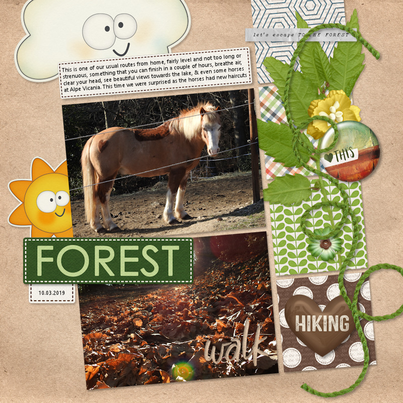 190310_forest Walk