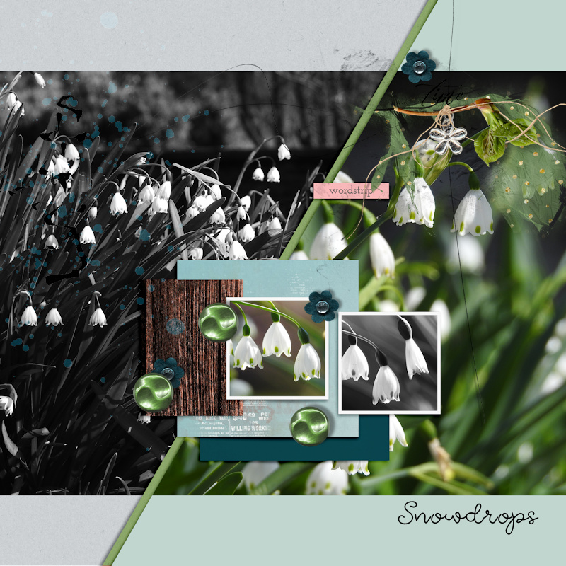 190323_snowdrop