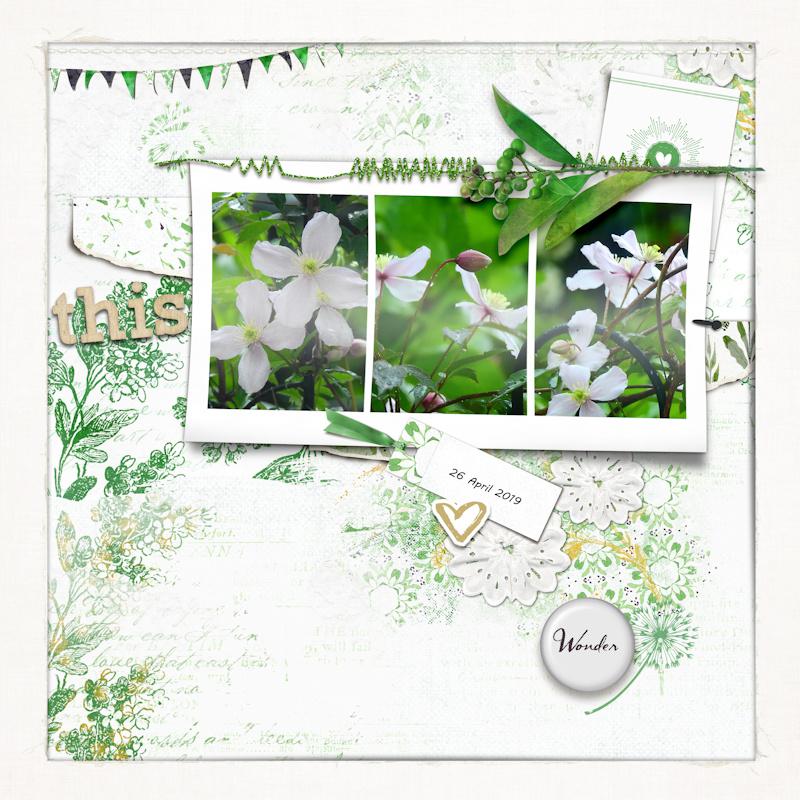 190426_clematis01