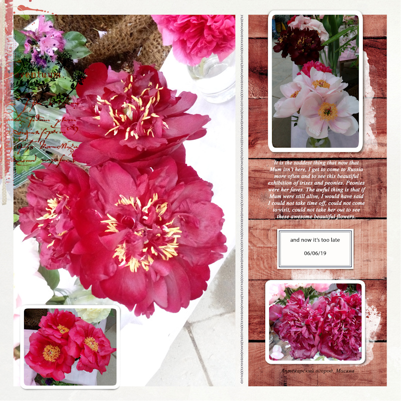 190606_peonies