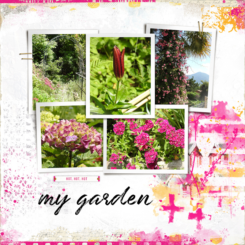 190612_garden1