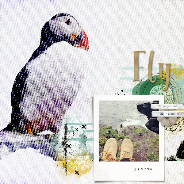 190724_puffins