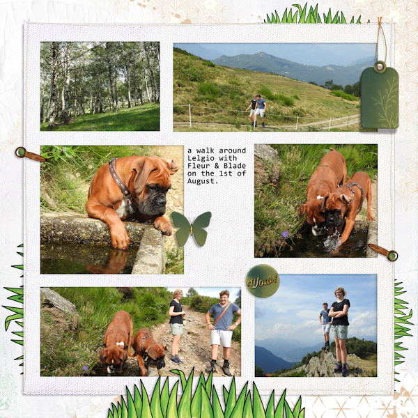 190801_lelgio