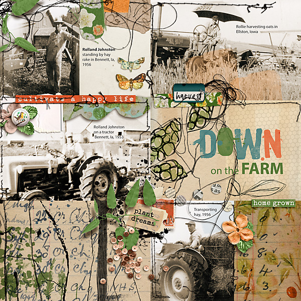 1950s-Down-on-the-Farm-Rollie