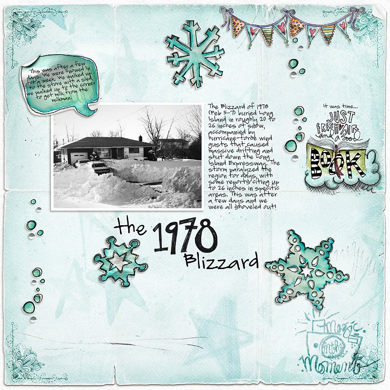 1978 Blizzard
