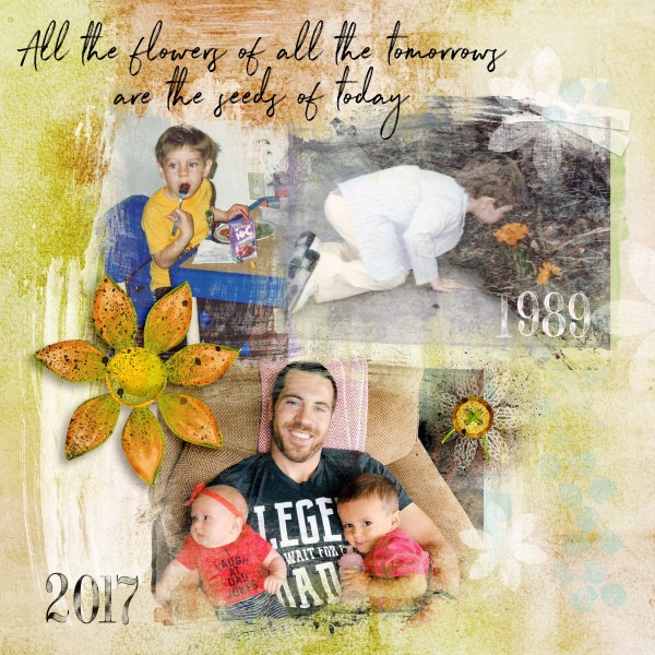 1989/2017