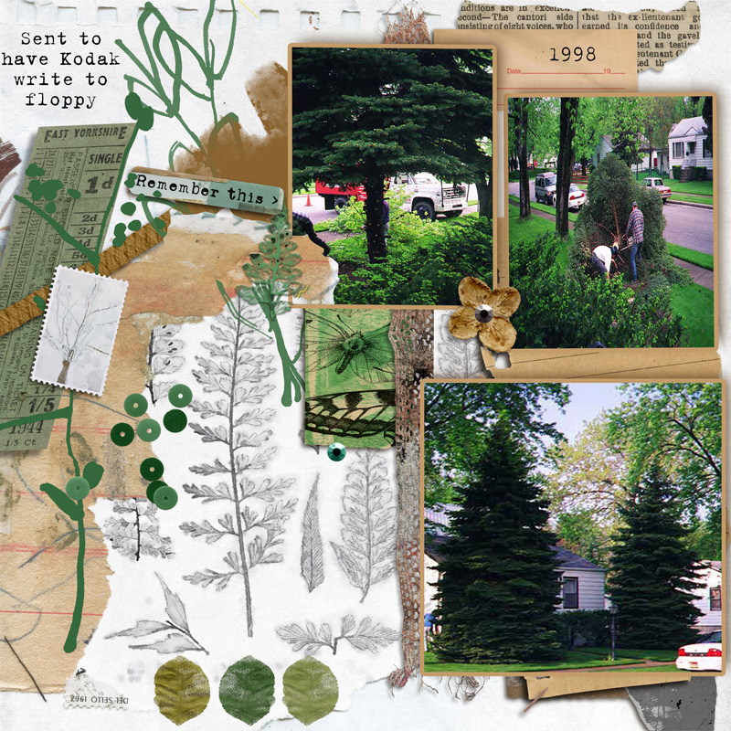 1998_evergreen_removed