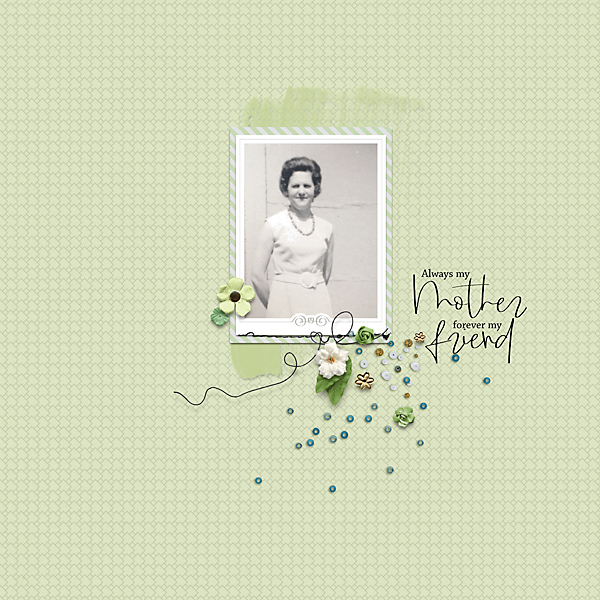 19_05_TLP_slowscrap-iNSD_5-mei-copy