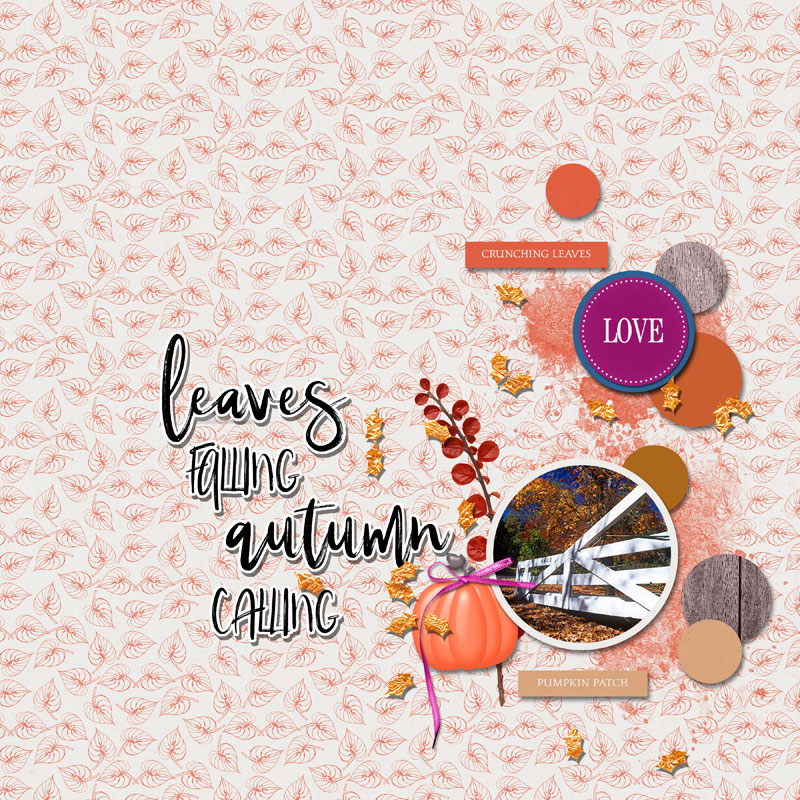 1leaves falling autumn calling