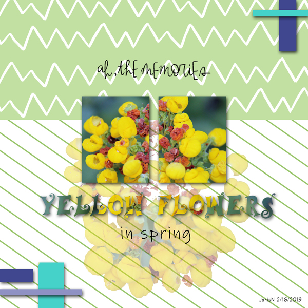 2-16emerritt_yellowflowers