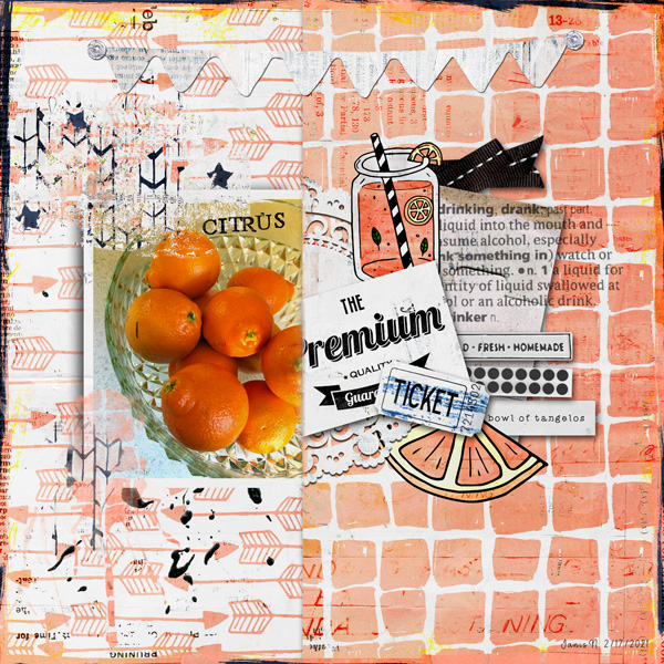 2-17MichelineLincoln_citrus