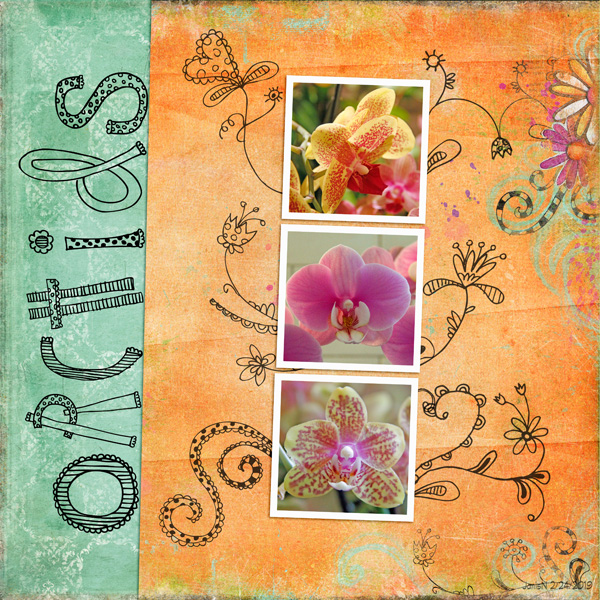 2-24CD_orchids
