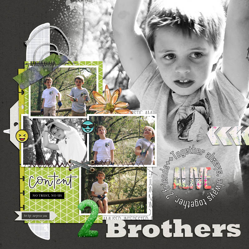 2 brothers