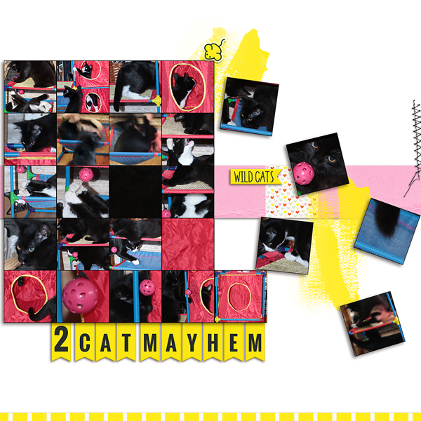 2 Cat Mayhem (MOC6.7)