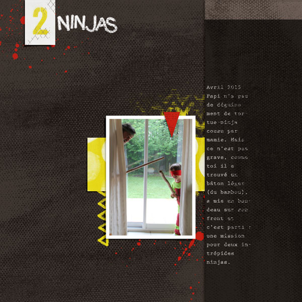2 Ninjas
