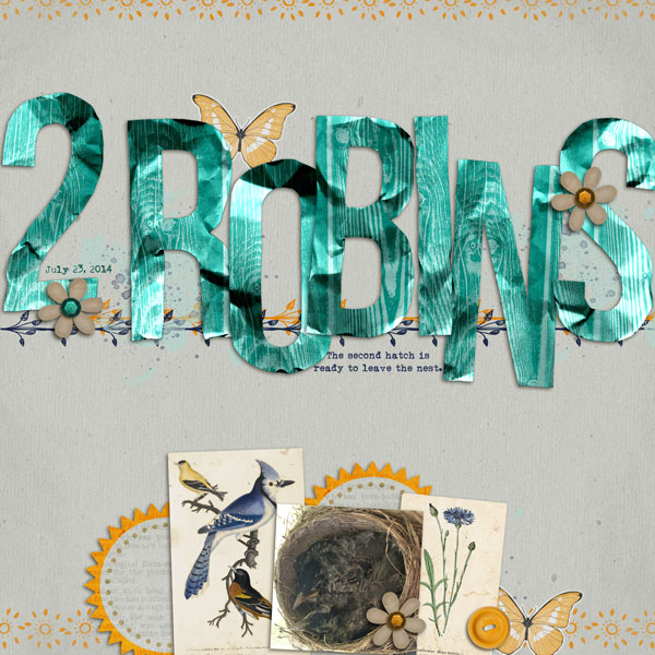2 Robins