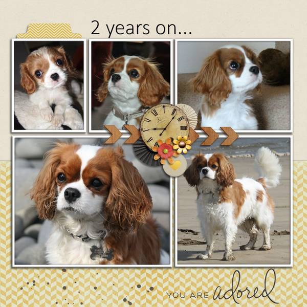 2 Years on