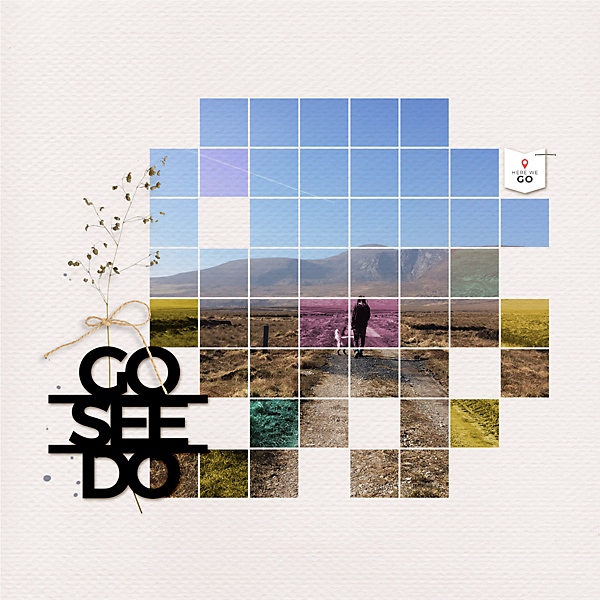 20-01_MOC8-05_photo-grid-copy