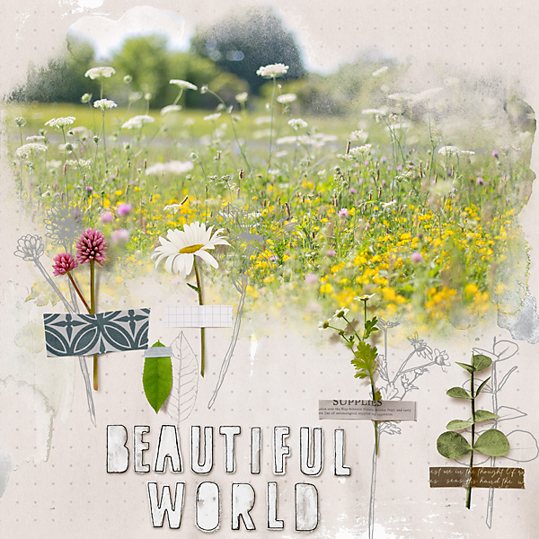 20-01_MOC8-21_organic-botanical-copy