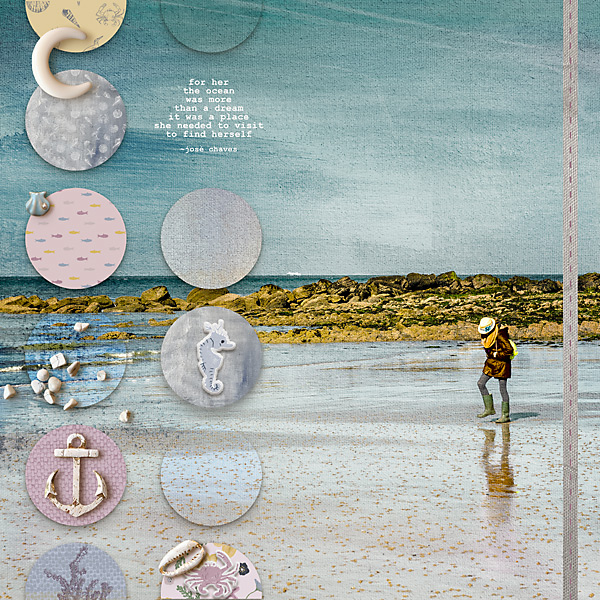 20-03_TCC-Build-Template-Catching-Seagulls-06-copy
