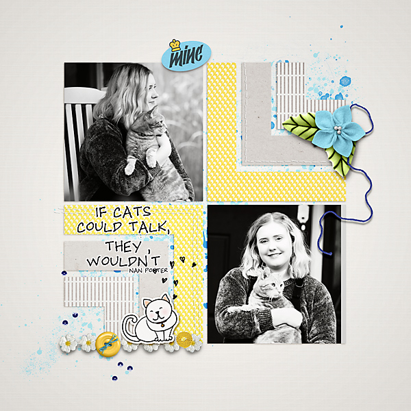 20-04_prd_cattitude_SwL_MBC-template-copy