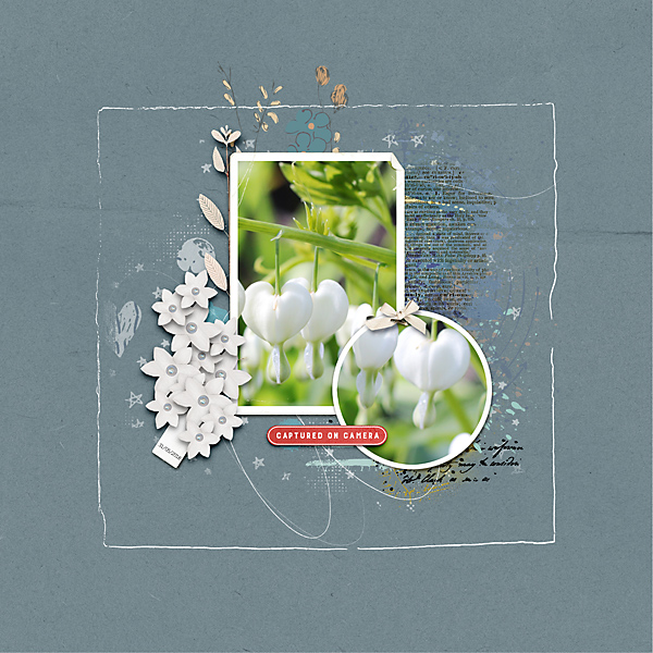 20-04_TLP_April-Template-Challenge-copy