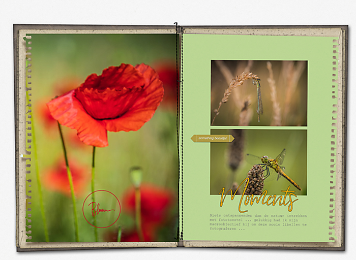 20-06_Soco_MemoriesVol3_DP-marijke