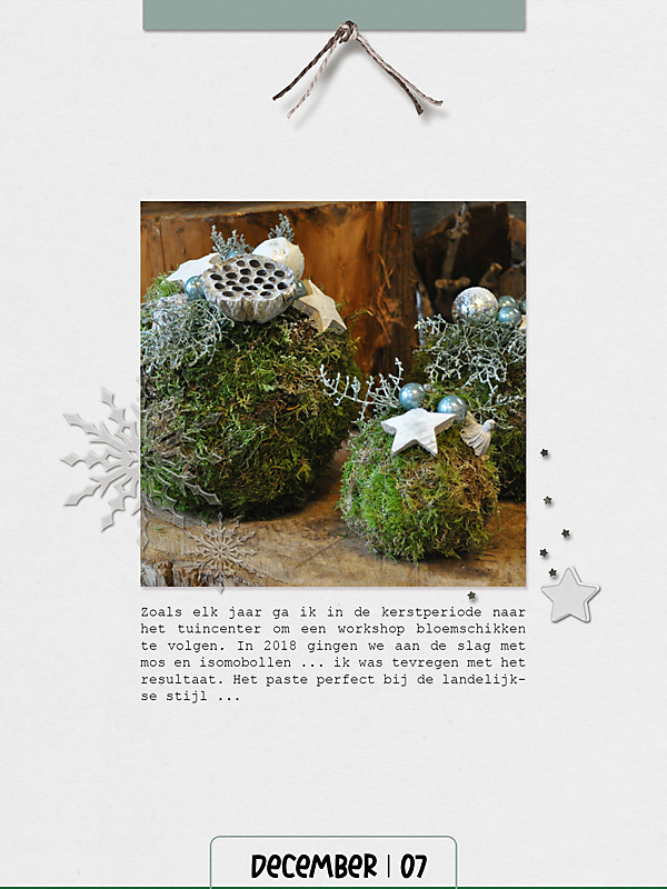 20-07_TLP_CIJ_Soco_DM2019-copy