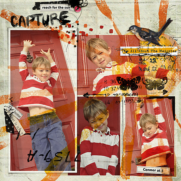 2002-Capture-Connor-reaches-for-the-Sun