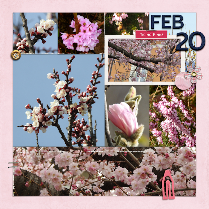 200220_pink