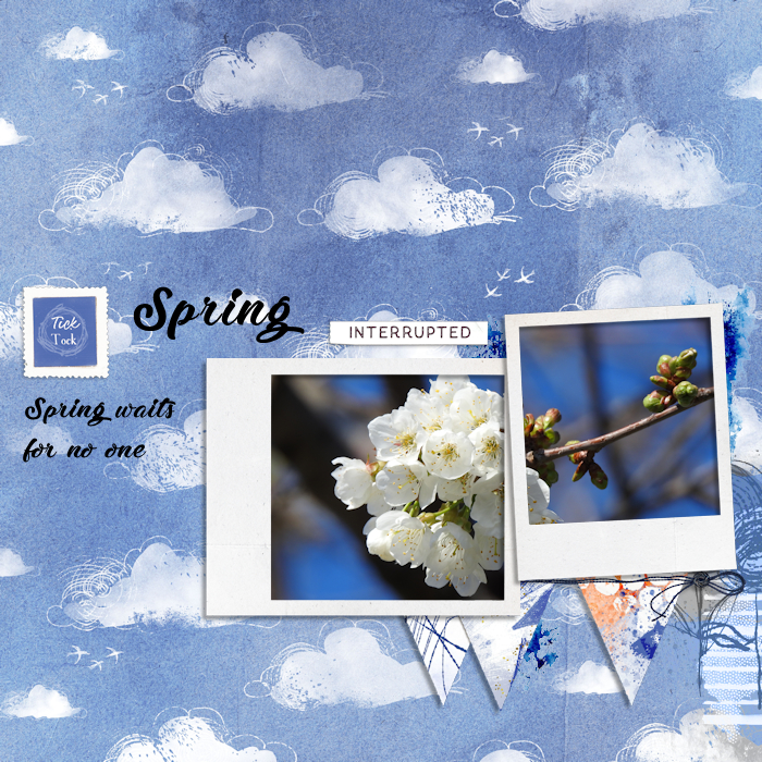 200319_spring