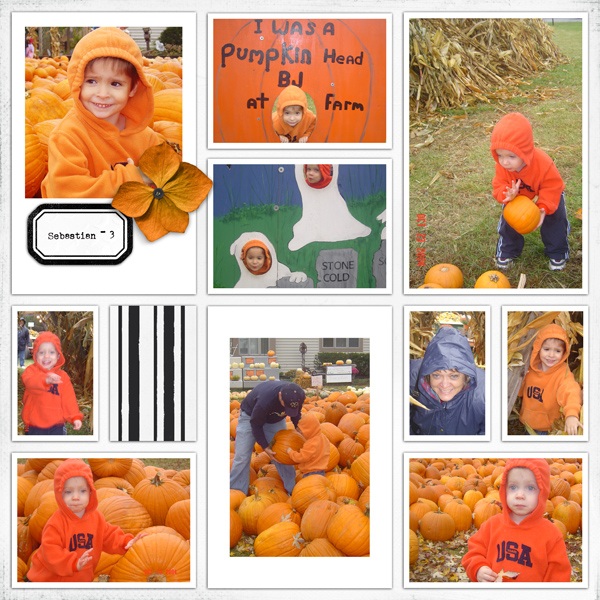 2004 Pumpkin Farm