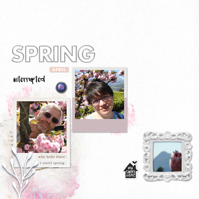 200411_cherry