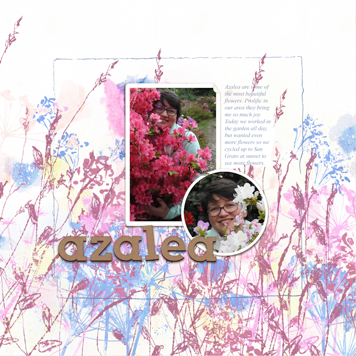 200427_azalea