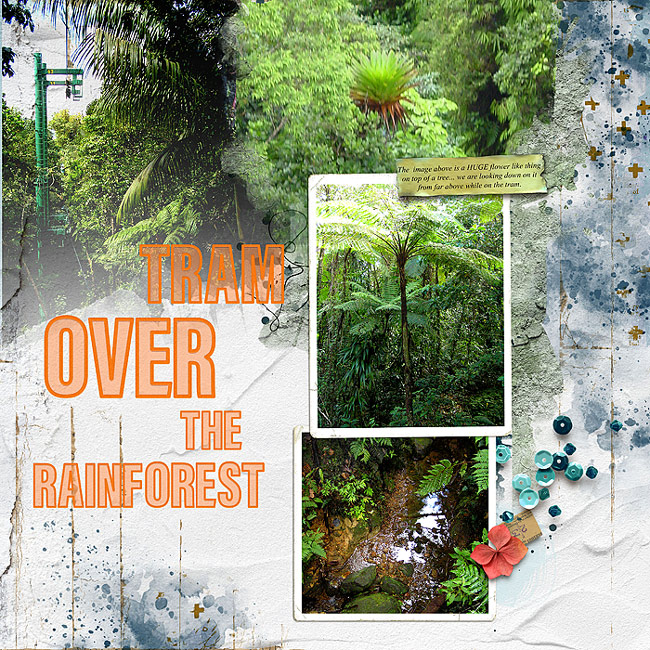 2005-11-Dominica-copy1
