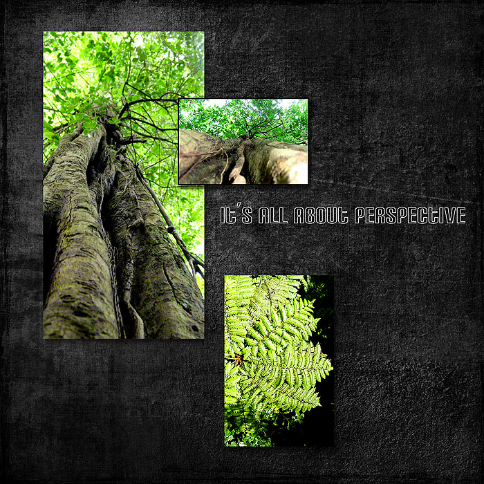 2005-Domincan-Perspectives