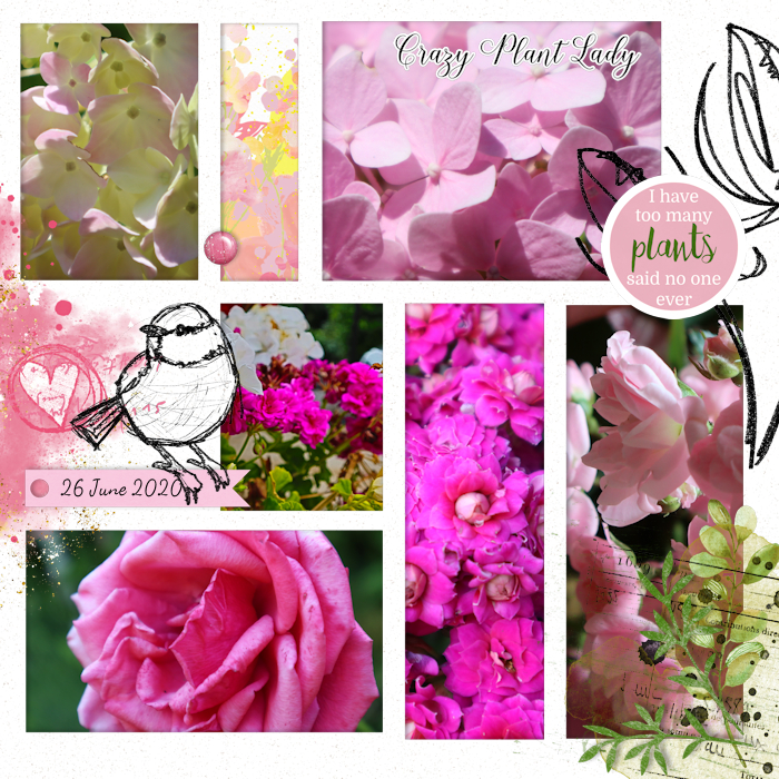 200626_pink