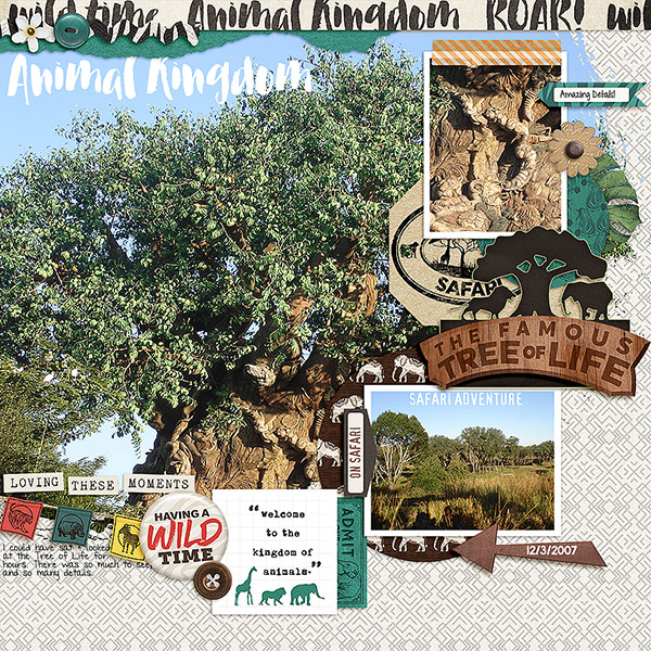 2007-Animal-Kingdom-Cover
