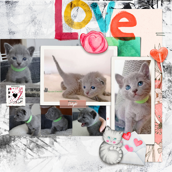 200711_love01