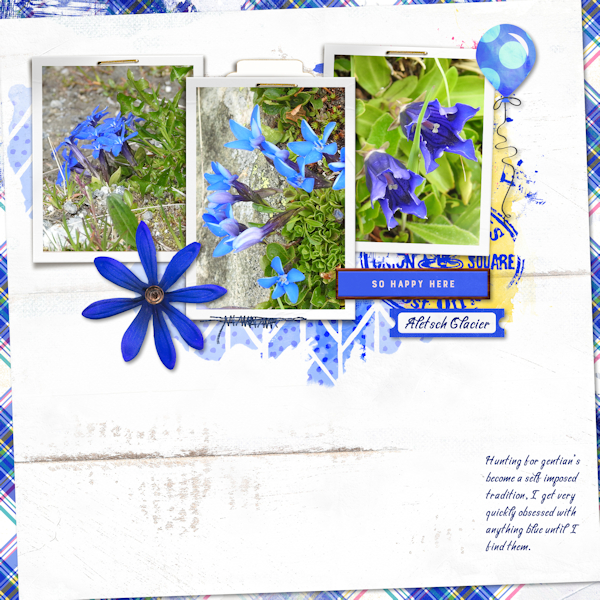 200713_gentian
