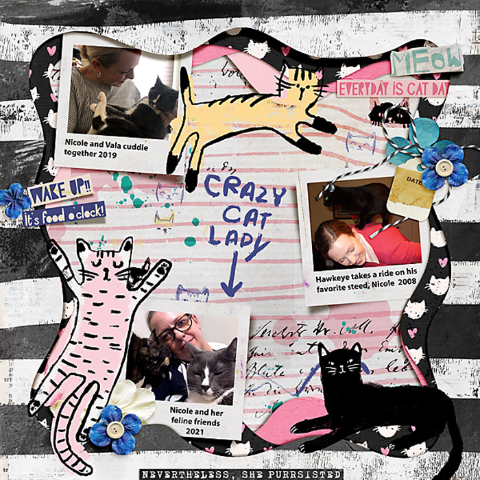 2008 -2021 Crazy Cat Lady