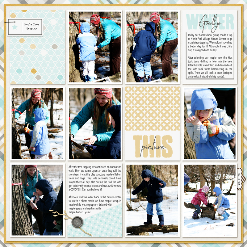 2008 Maple Tree Tapping
