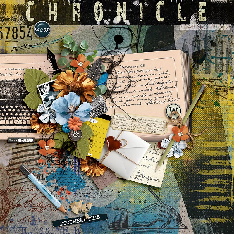 2009--Chronicle